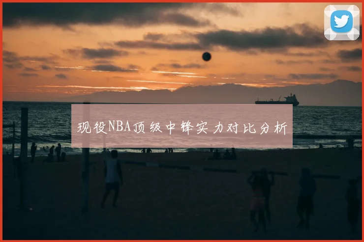 现役NBA顶级中锋实力对比分析
